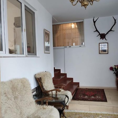 Bucegi View Villa Buşteni Exterior foto